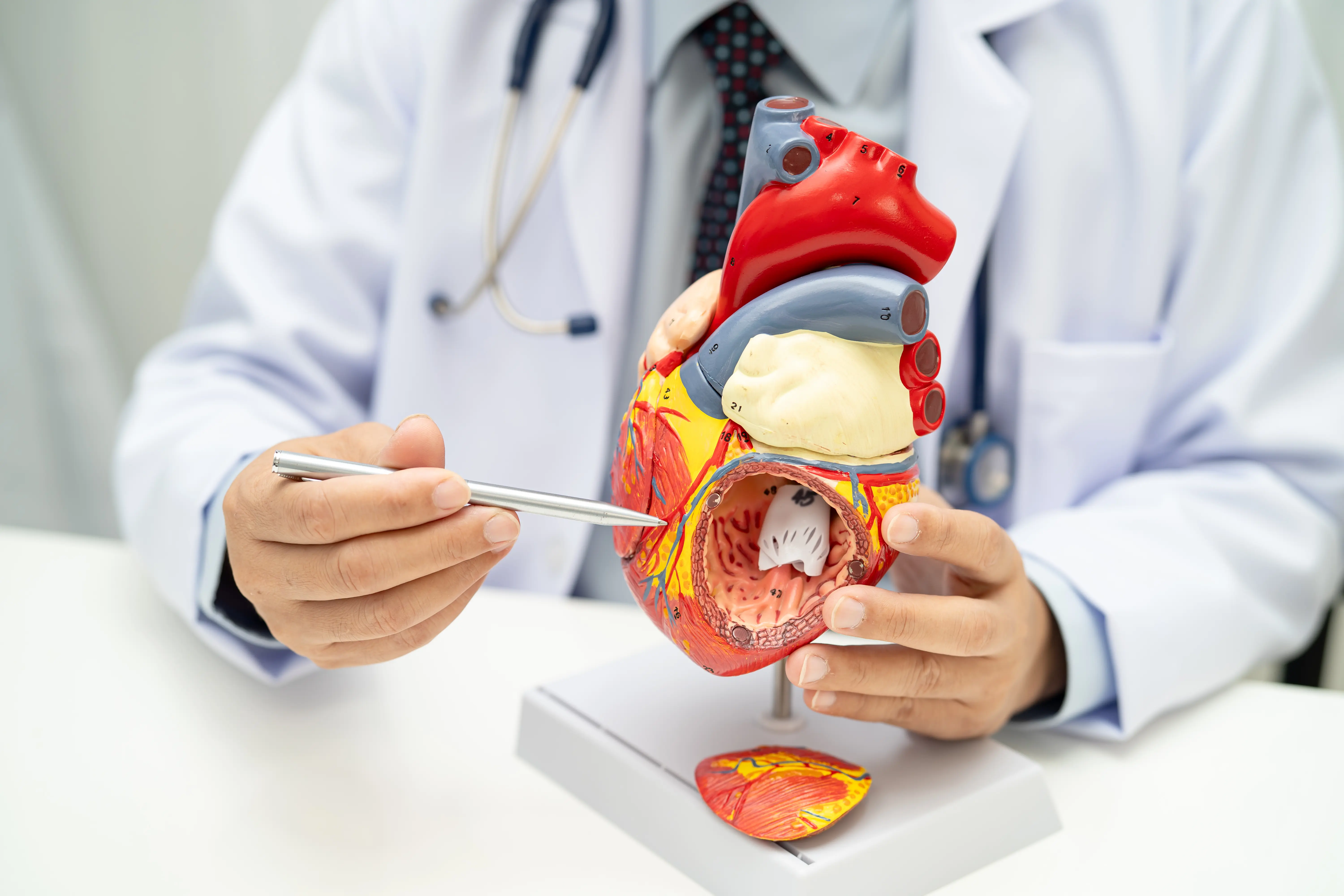 Hipertrofik Obstrüktif Kardiyomiyopati: Tedavi Yöntemleri