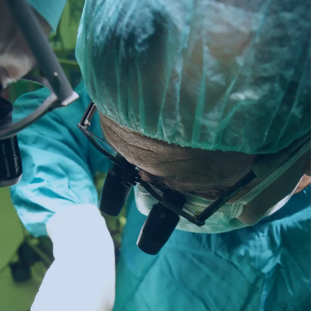 Bilimsel Çalışmalar